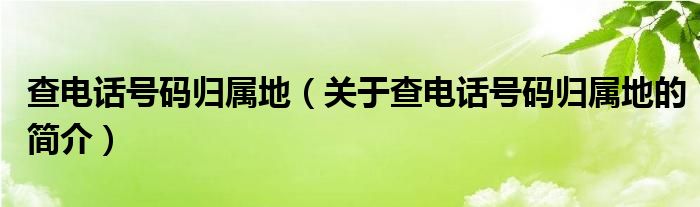 查电话号码归属地（关于查电话号码归属地的简介）