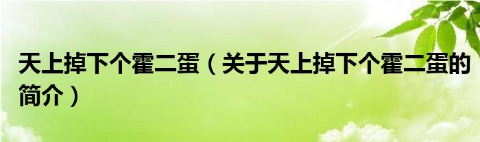 天上掉下个霍二蛋（关于天上掉下个霍二蛋的简介）