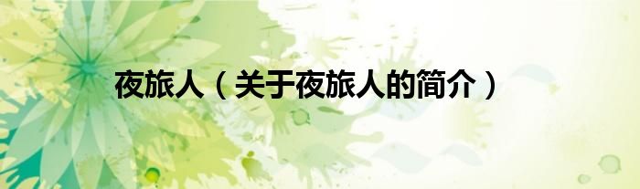 夜旅人（关于夜旅人的简介）