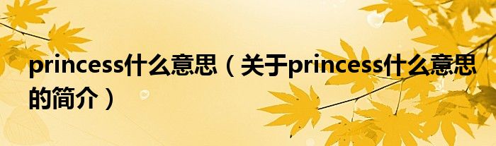 princess什么意思（关于princess什么意思的简介）