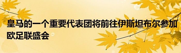 皇马的一个重要代表团将前往伊斯坦布尔参加欧足联盛会