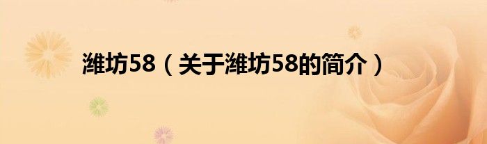 潍坊58（关于潍坊58的简介）