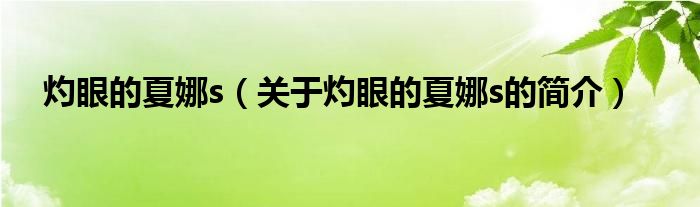 灼眼的夏娜s（关于灼眼的夏娜s的简介）