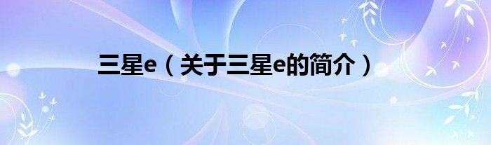 三星e（关于三星e的简介）