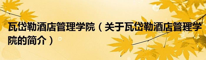 瓦岱勒酒店管理学院（关于瓦岱勒酒店管理学院的简介）