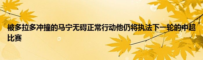 被多拉多冲撞的马宁无碍正常行动他仍将执法下一轮的中超比赛