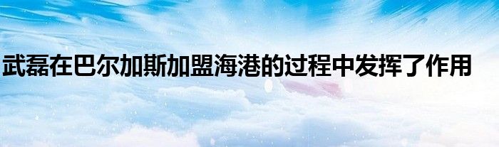 武磊在巴尔加斯加盟海港的过程中发挥了作用