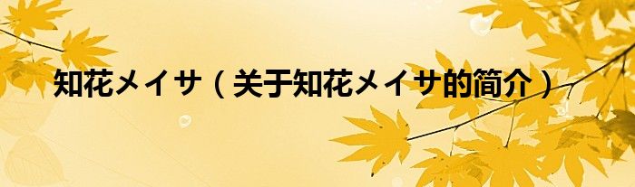知花メイサ（关于知花メイサ的简介）