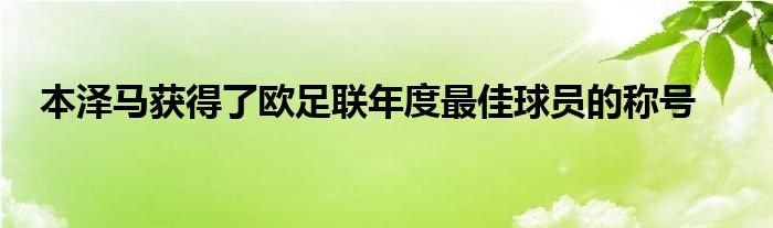 本泽马获得了欧足联年度最佳球员的称号