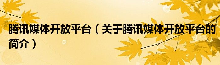 腾讯媒体开放平台（关于腾讯媒体开放平台的简介）