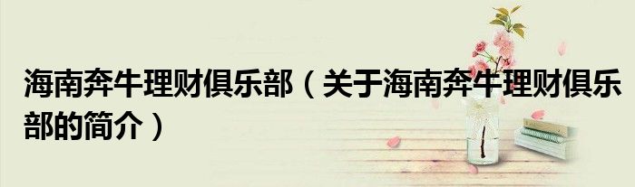 海南奔牛理财俱乐部（关于海南奔牛理财俱乐部的简介）