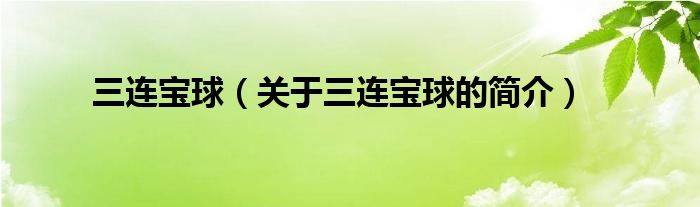 三连宝球（关于三连宝球的简介）