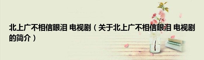 北上广不相信眼泪 电视剧（关于北上广不相信眼泪 电视剧的简介）