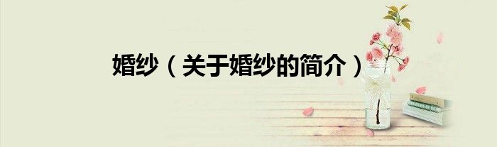 婚纱（关于婚纱的简介）