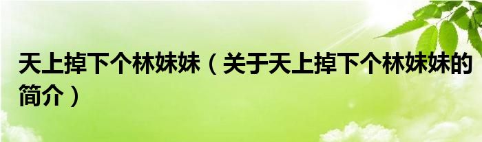天上掉下个林妹妹（关于天上掉下个林妹妹的简介）