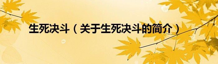 生死决斗（关于生死决斗的简介）