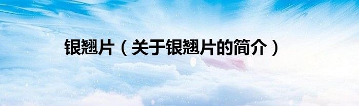 银翘片（关于银翘片的简介）