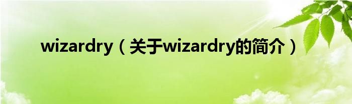 wizardry（关于wizardry的简介）