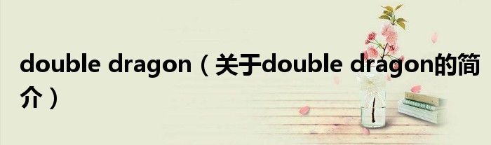 double dragon（关于double dragon的简介）