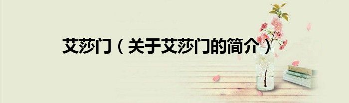 艾莎门（关于艾莎门的简介）