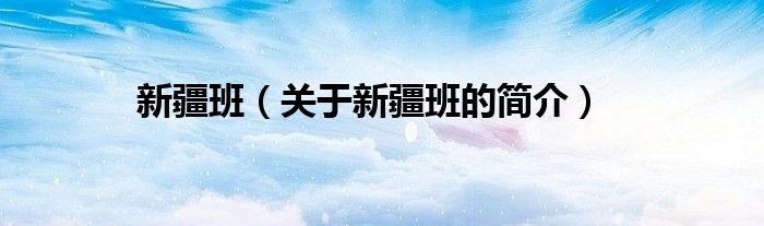 新疆班（关于新疆班的简介）