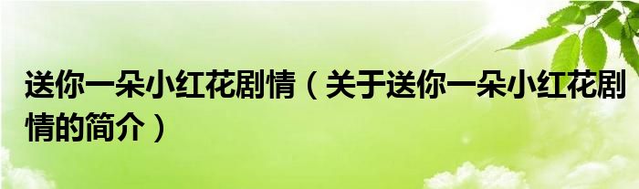 送你一朵小红花剧情（关于送你一朵小红花剧情的简介）