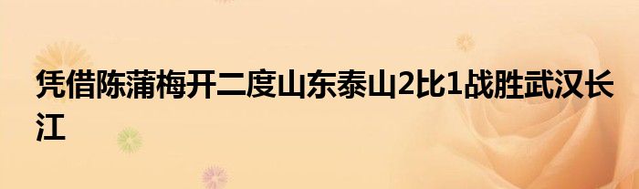 凭借陈蒲梅开二度山东泰山2比1战胜武汉长江