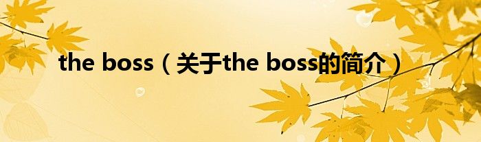 the boss（关于the boss的简介）