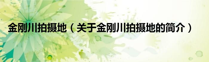 金刚川拍摄地（关于金刚川拍摄地的简介）