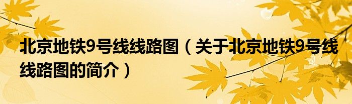 北京地铁9号线线路图（关于北京地铁9号线线路图的简介）
