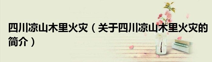 四川凉山木里火灾（关于四川凉山木里火灾的简介）