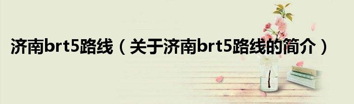 济南brt5路线（关于济南brt5路线的简介）
