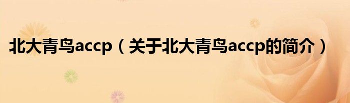 北大青鸟accp（关于北大青鸟accp的简介）