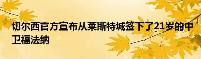 切尔西官方宣布从莱斯特城签下了21岁的中卫福法纳