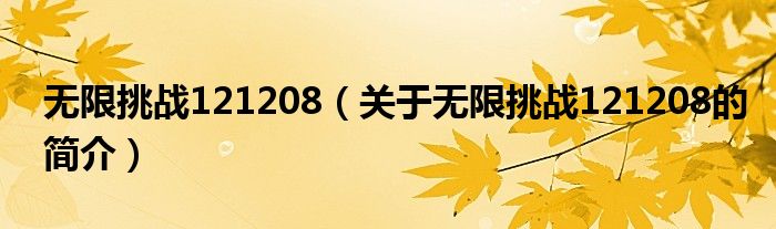 无限挑战121208（关于无限挑战121208的简介）