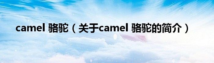 camel 骆驼（关于camel 骆驼的简介）