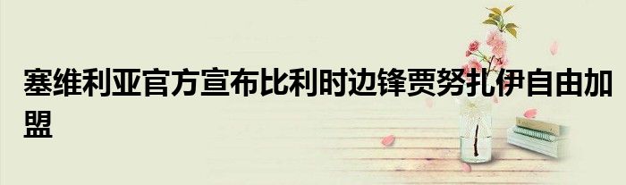 塞维利亚官方宣布比利时边锋贾努扎伊自由加盟