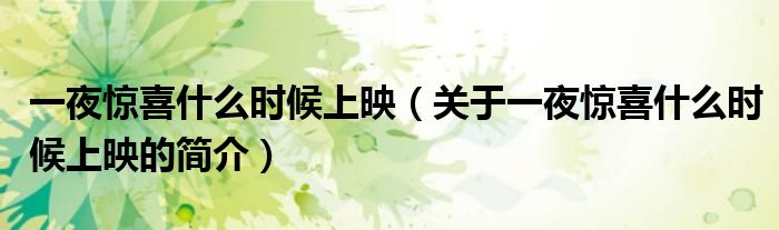 一夜惊喜什么时候上映（关于一夜惊喜什么时候上映的简介）