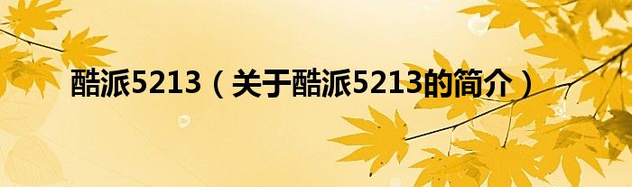 酷派5213（关于酷派5213的简介）