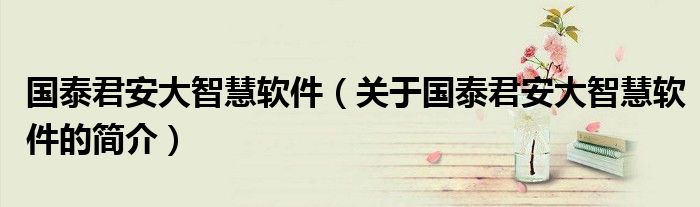 国泰君安大智慧软件（关于国泰君安大智慧软件的简介）