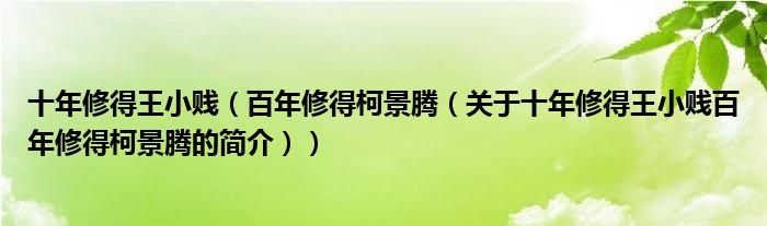 十年修得王小贱（百年修得柯景腾（关于十年修得王小贱百年修得柯景腾的简介））
