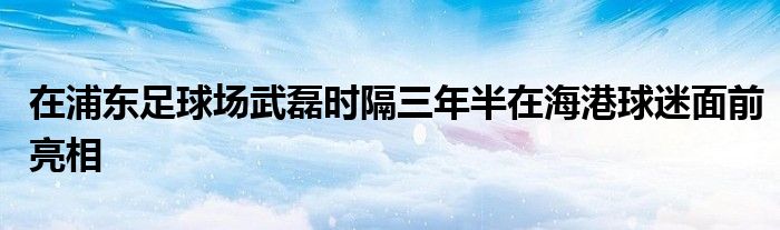 在浦东足球场武磊时隔三年半在海港球迷面前亮相