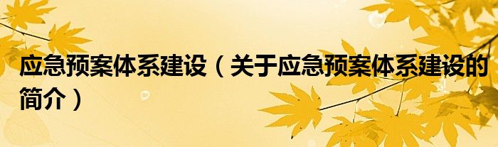 应急预案体系建设（关于应急预案体系建设的简介）