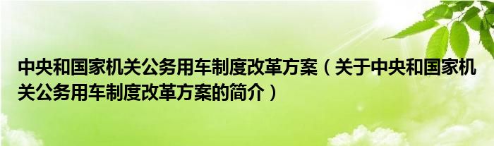 中央和国家机关公务用车制度改革方案（关于中央和国家机关公务用车制度改革方案的简介）