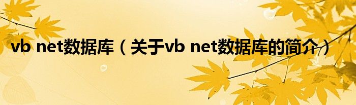 vb net数据库（关于vb net数据库的简介）