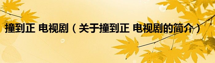 撞到正 电视剧（关于撞到正 电视剧的简介）
