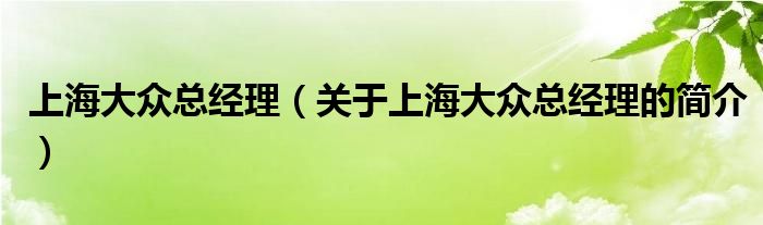 上海大众总经理（关于上海大众总经理的简介）