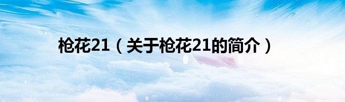 枪花21（关于枪花21的简介）