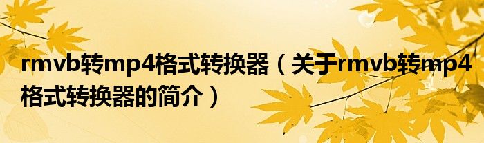 rmvb转mp4格式转换器（关于rmvb转mp4格式转换器的简介）