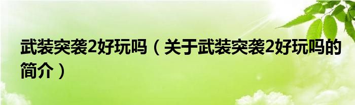 武装突袭2好玩吗（关于武装突袭2好玩吗的简介）